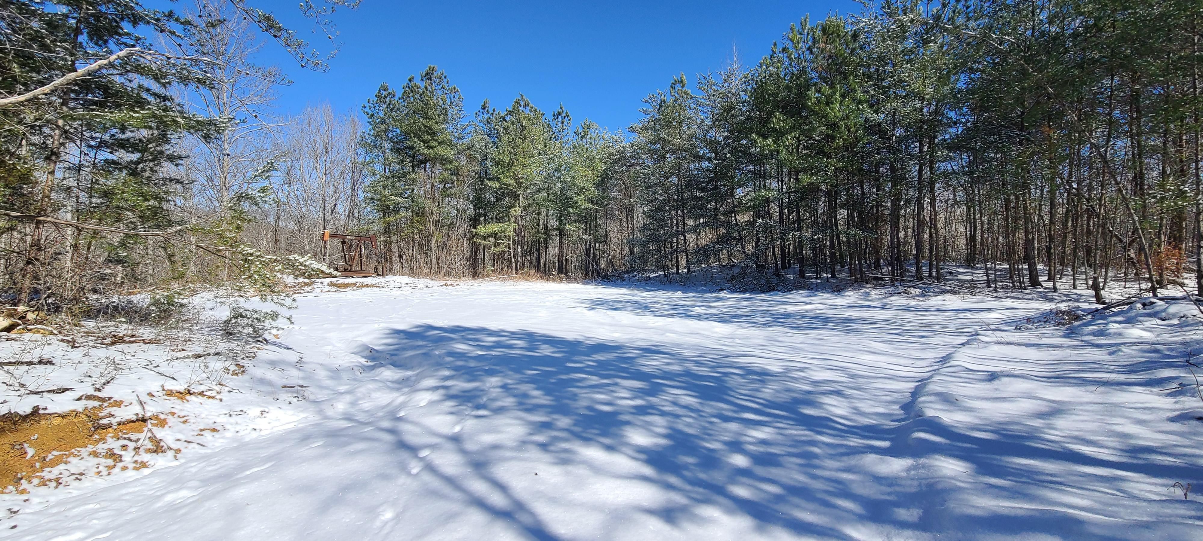 Robbins, Scott County, TN Recreational Property, Timberland Property
