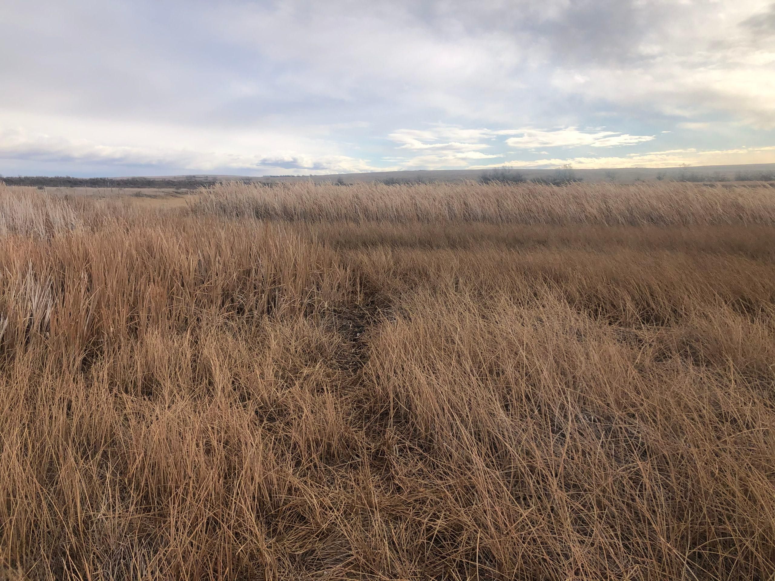 Malta, Phillips County, MT Recreational Property, Hunting Property