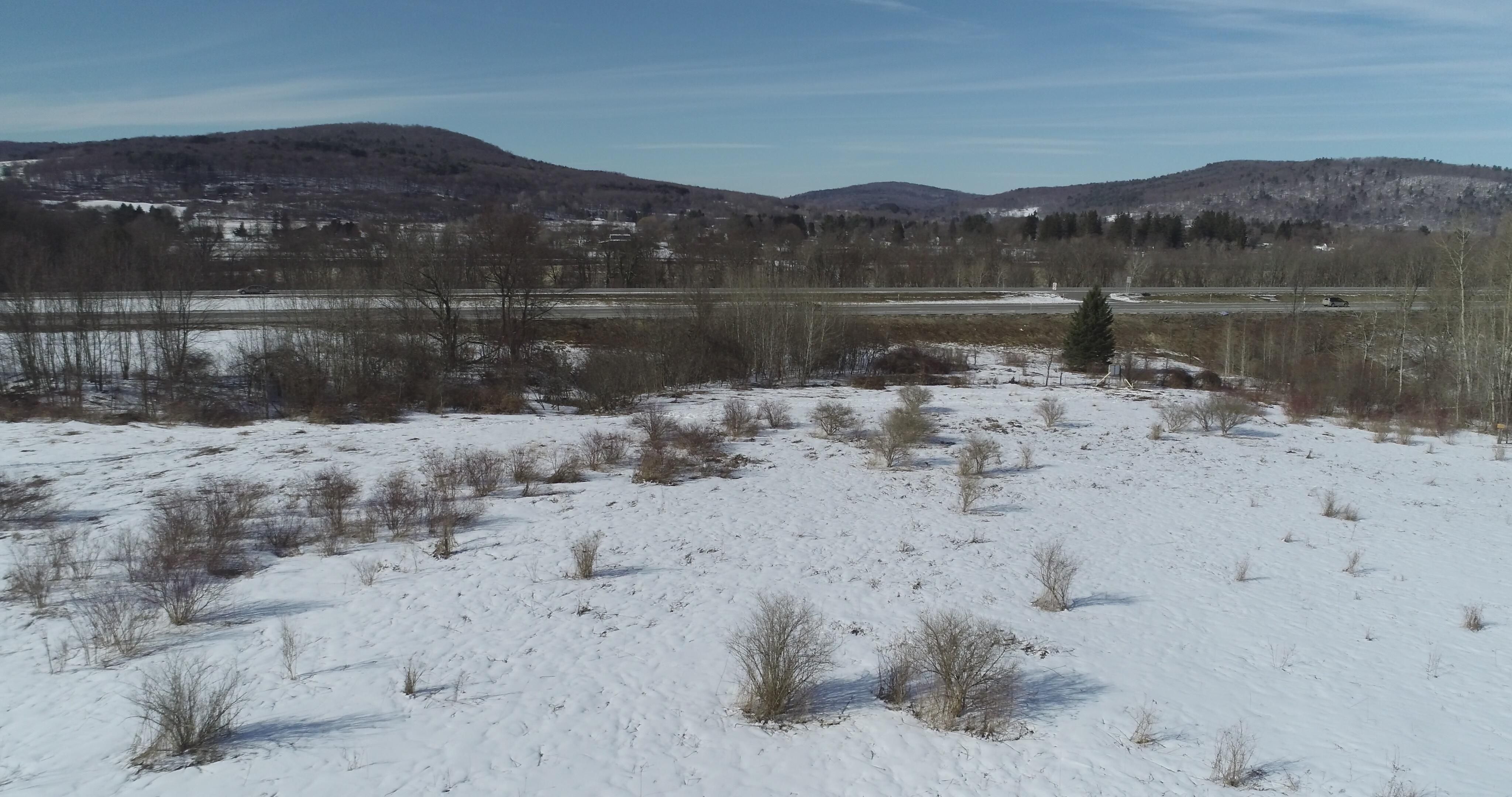 Otego, Otsego County, NY Farms and Ranches, Undeveloped Land