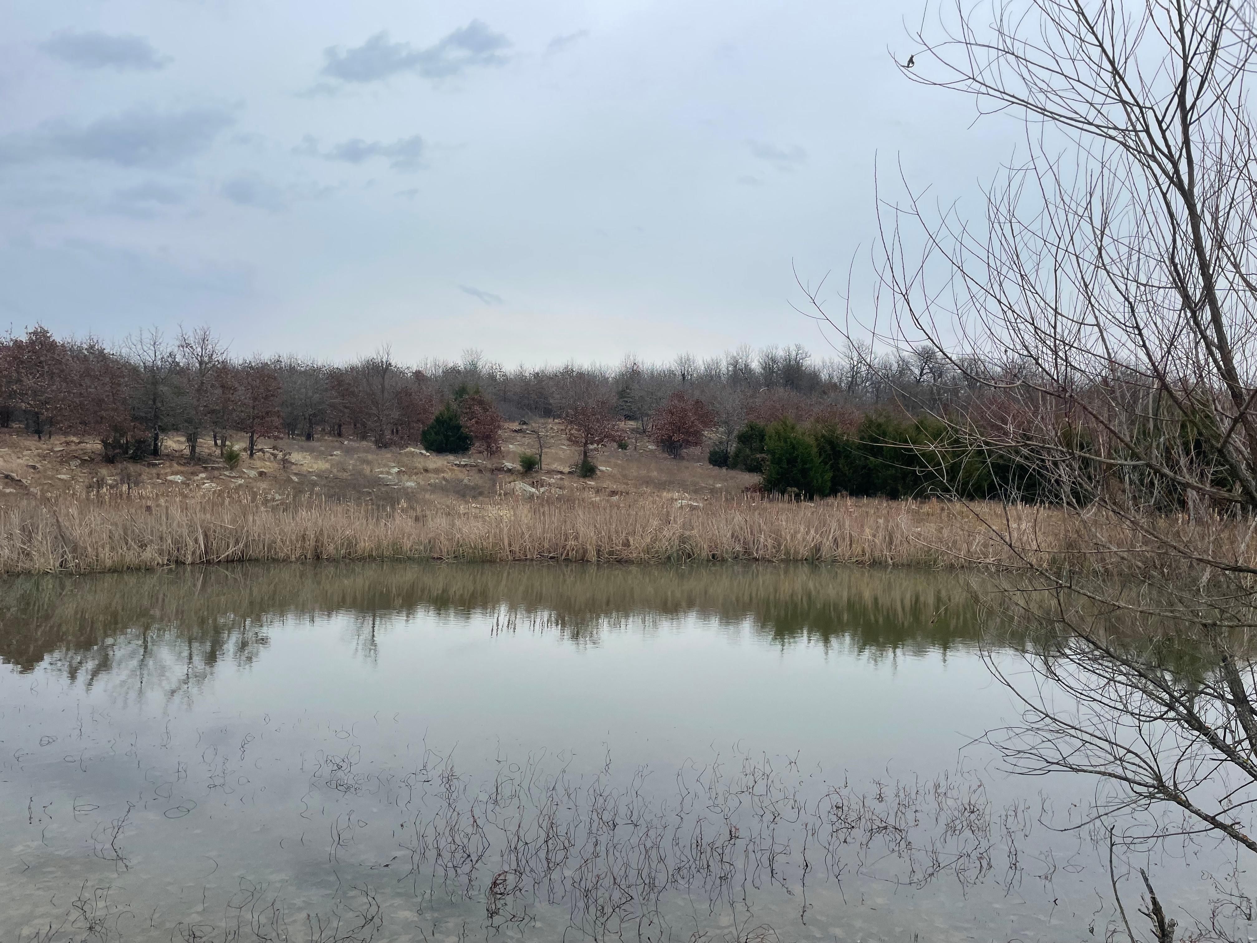 Coalgate, Coal County, OK Recreational Property, Undeveloped Land