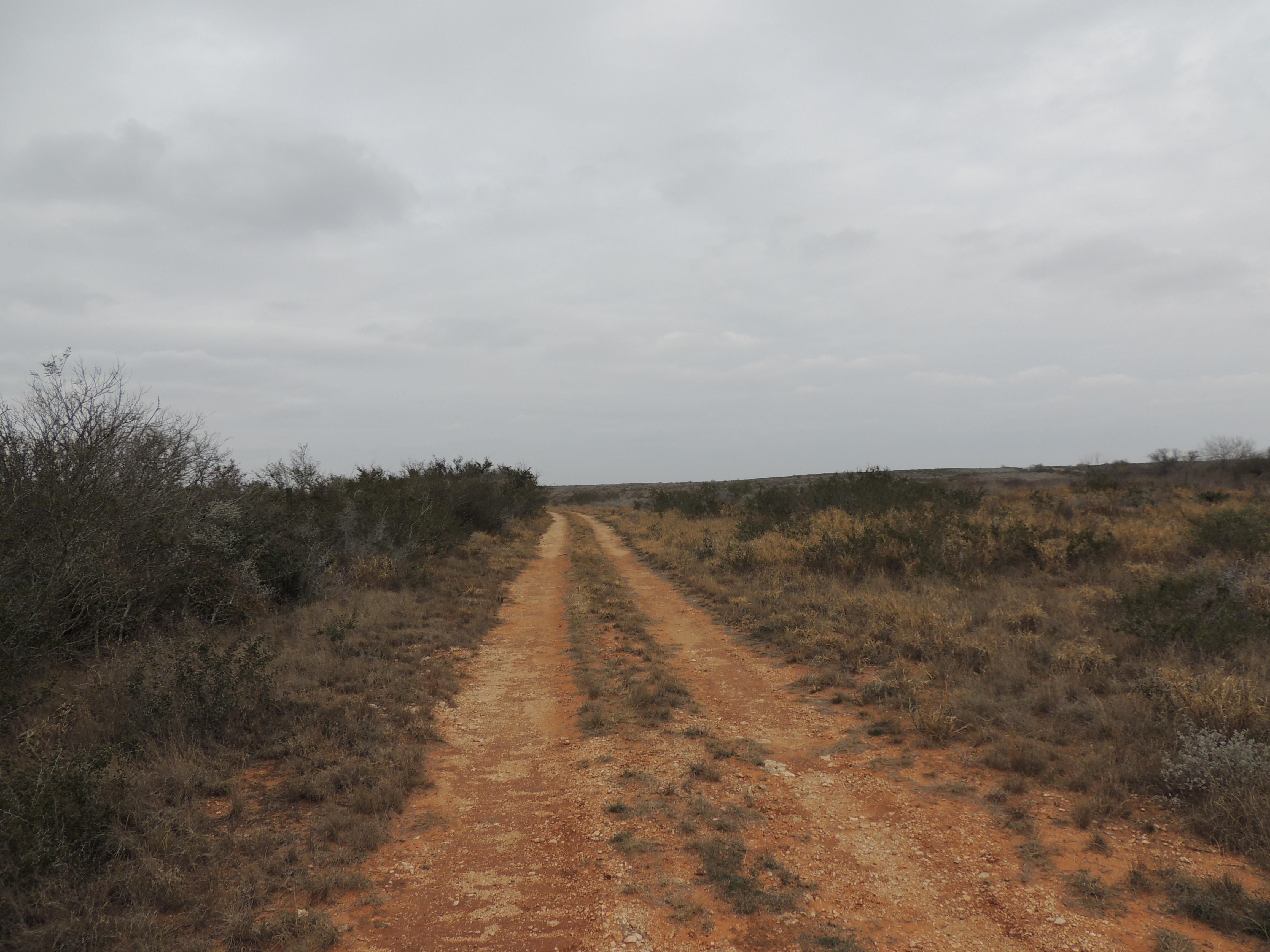 Realitos, Duval County, TX Recreational Property, Undeveloped Land, Hunting Property for sale