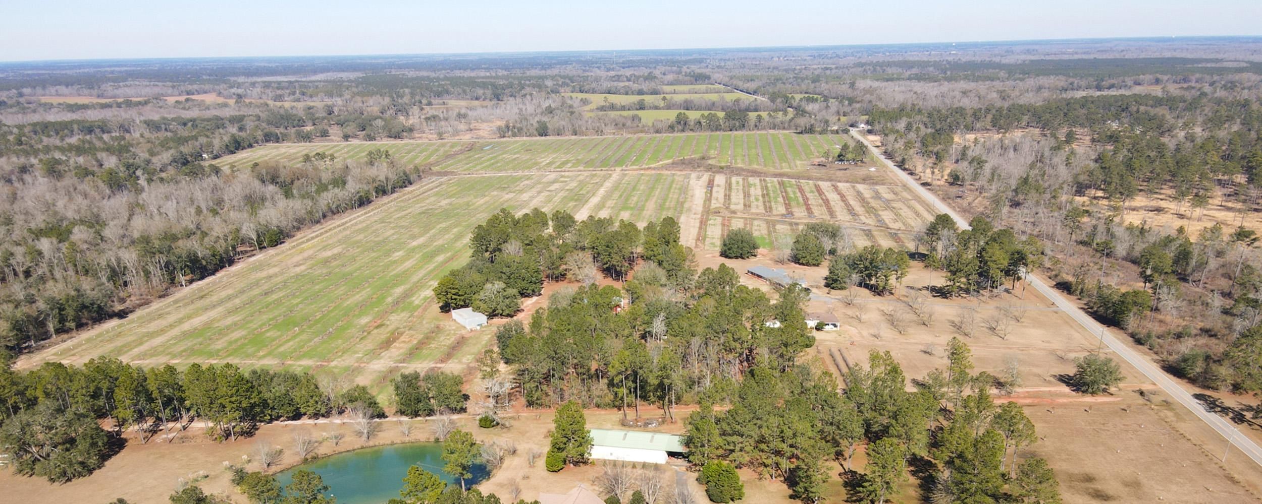 Albany, Dougherty County, GA Farms and Ranches for sale Property ID