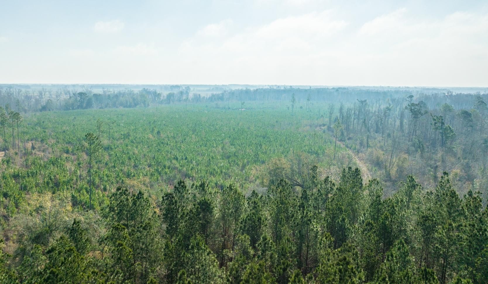 Jakin, Early County, GA Farms and Ranches for sale Property ID 412657016 LandWatch