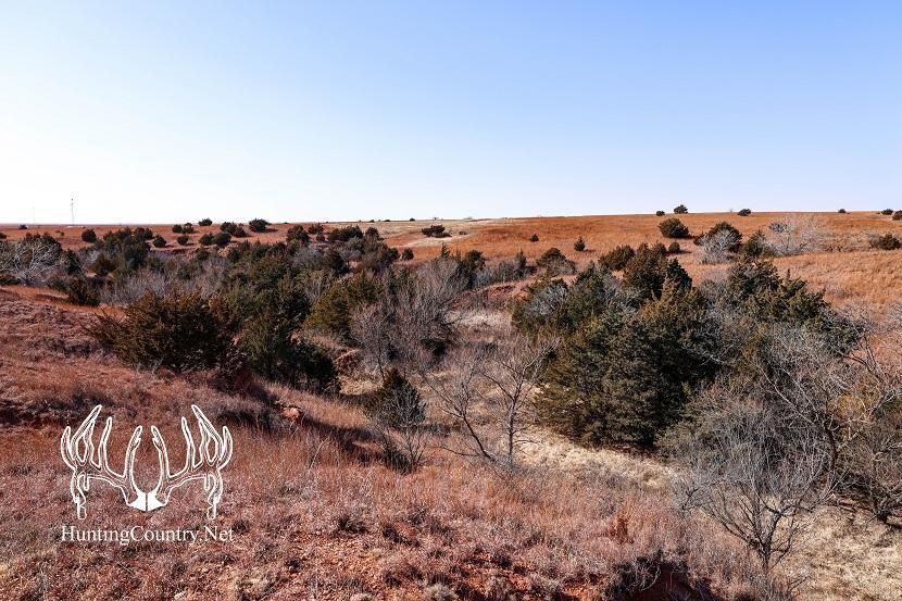 314 acres in Leedey, OK, 73654 MLS OK551 LandWatch