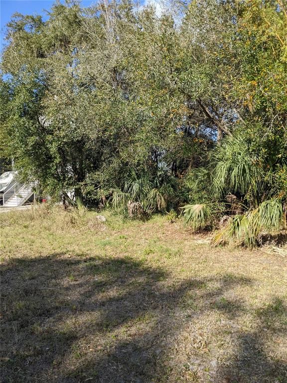 Oldsmar, Pinellas County, FL Undeveloped Land, Lakefront Property