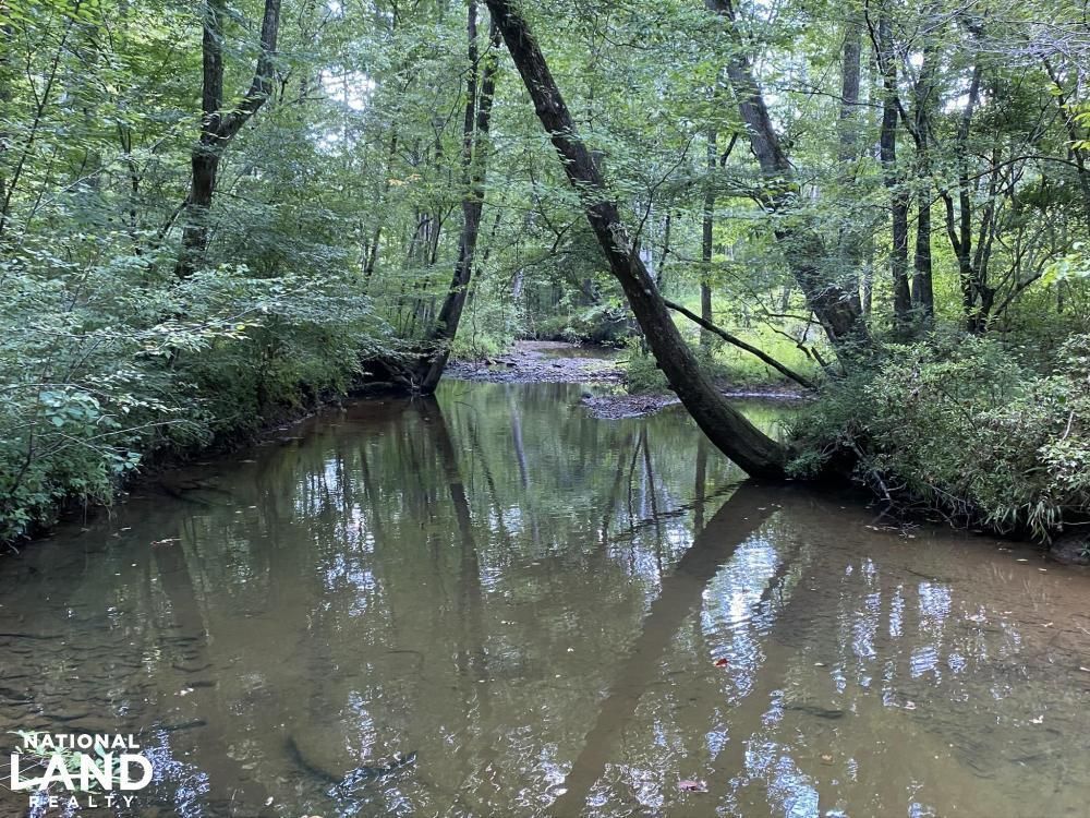 Oakman, Tuscaloosa County, AL Recreational Property, Timberland