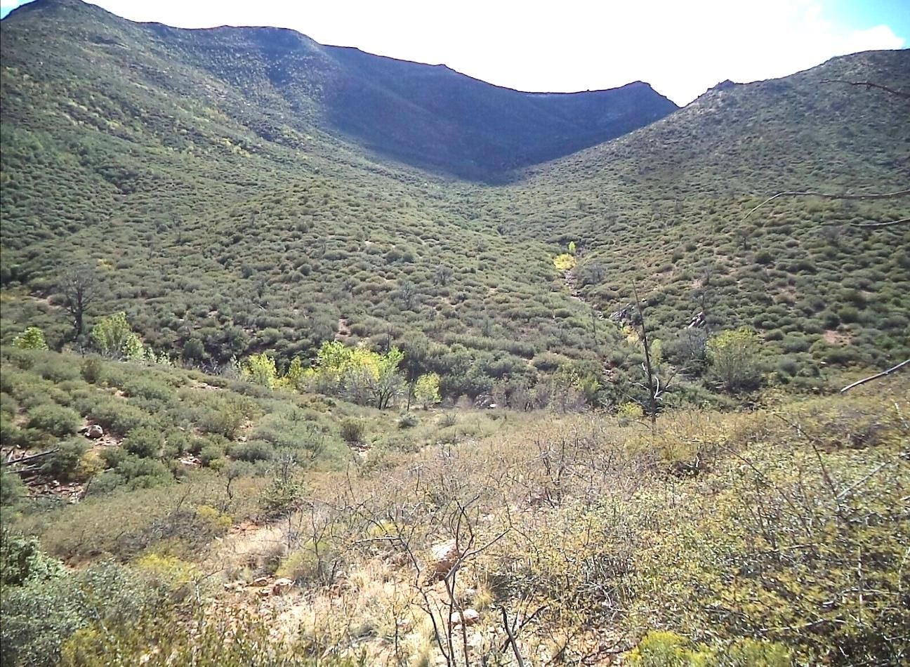 40 acres in Tonto Basin, AZ, 85553 LandWatch