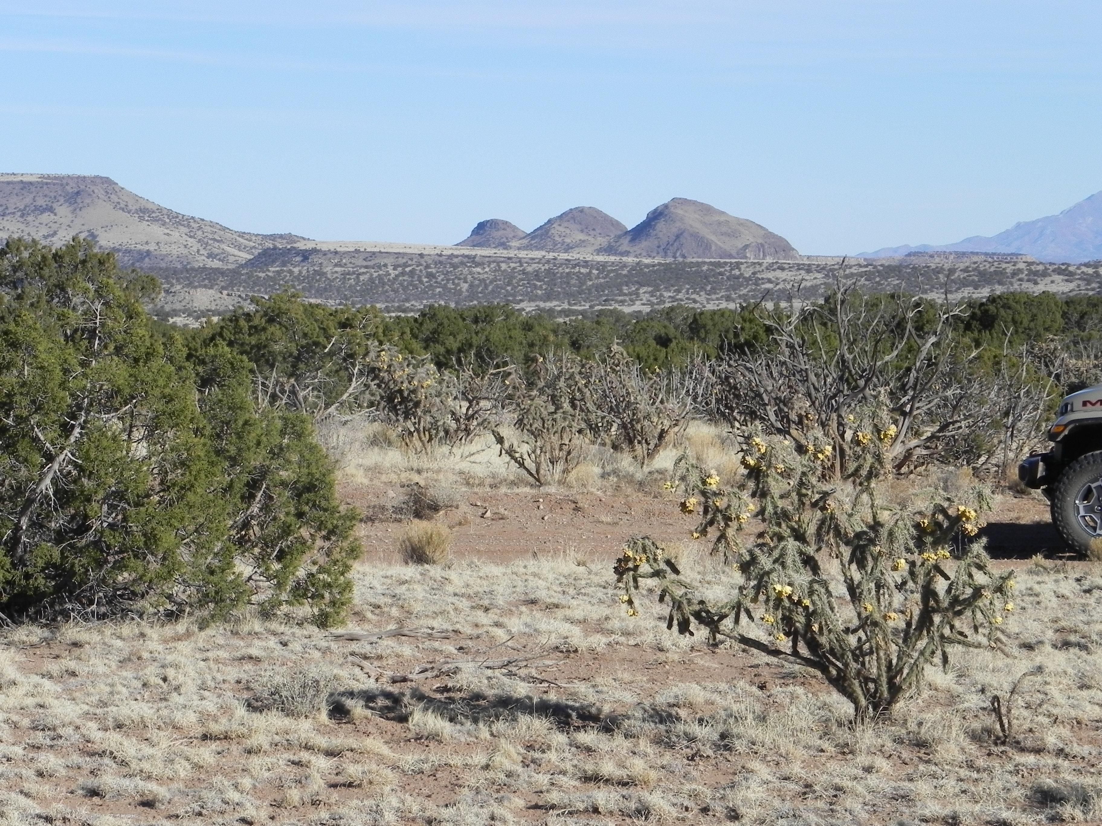Magdalena, Socorro County, NM Hunting Property, Horse Property for sale