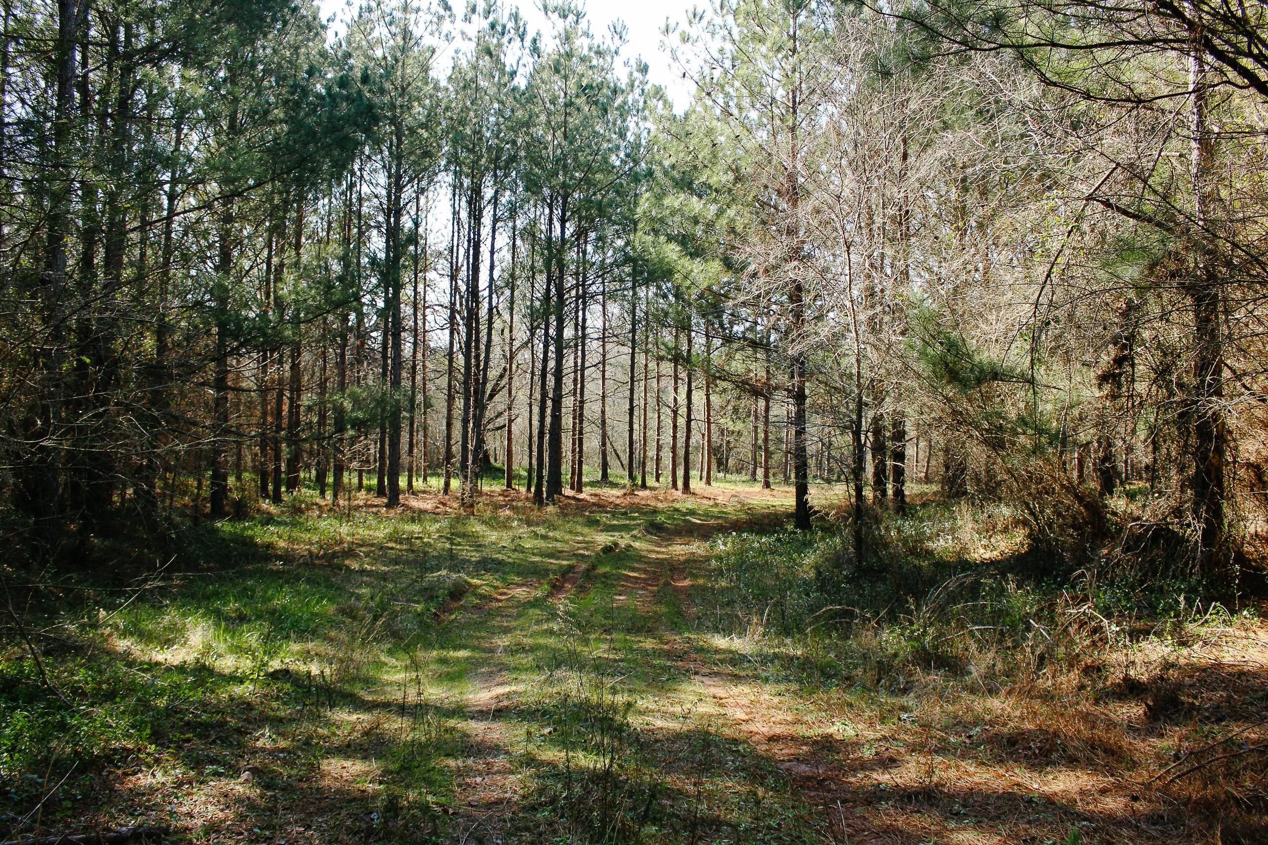 Thomson, McDuffie County, GA Recreational Property, Undeveloped Land, Hunting Property for sale