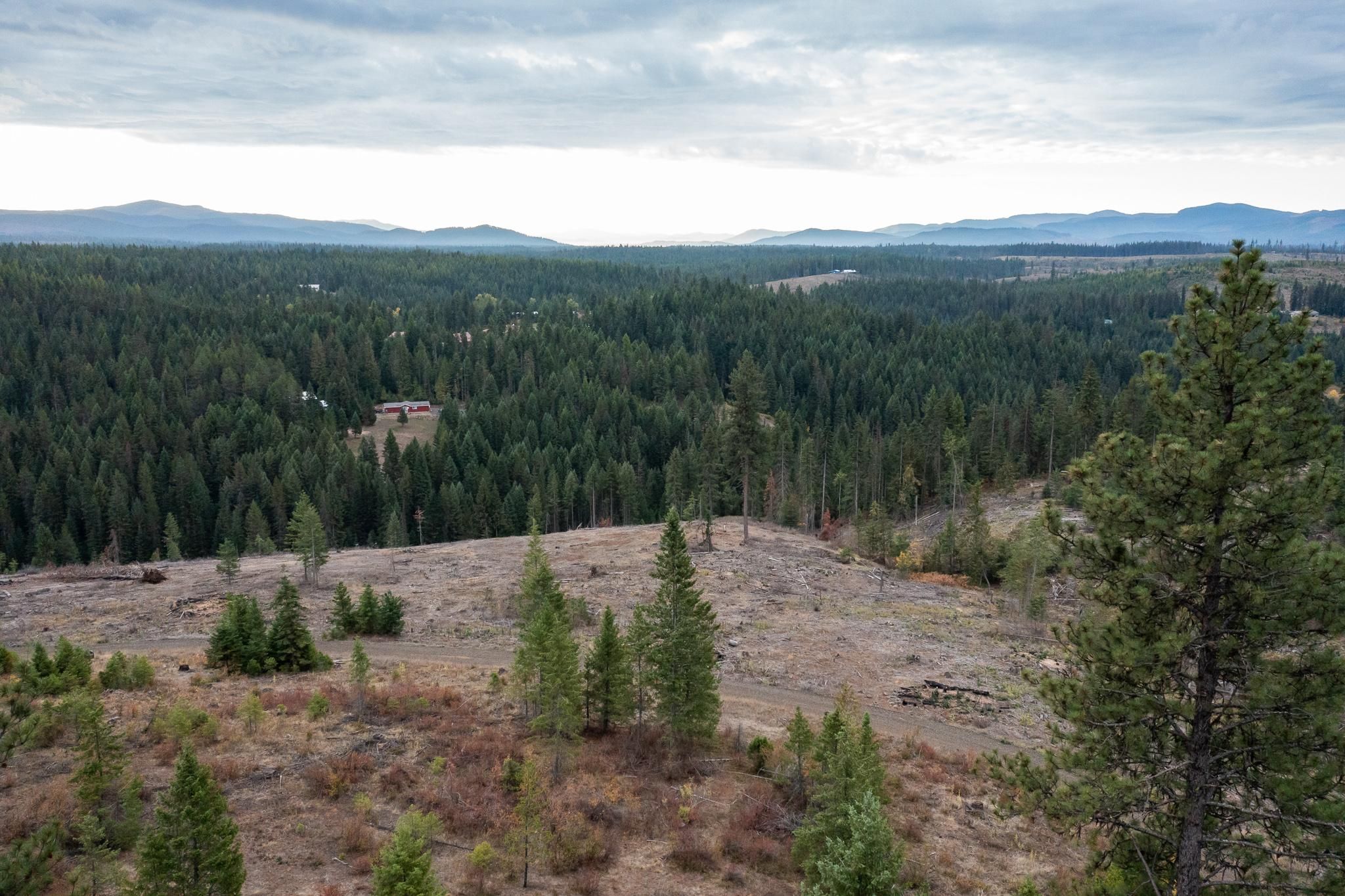 Saint Maries, Benewah County, ID Recreational Property, Undeveloped