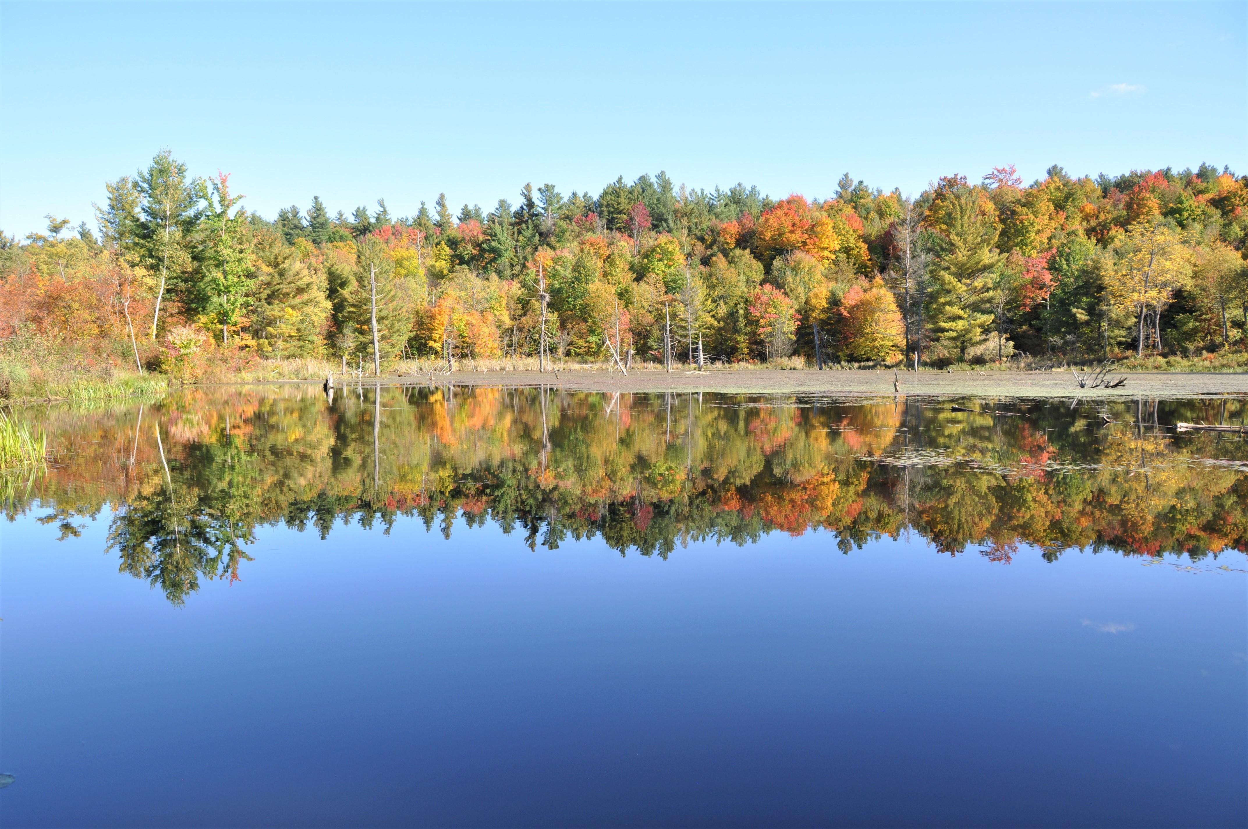 Bingo Road Drive (Locked gate must call 1st), Edwards, NY 13635 MLS