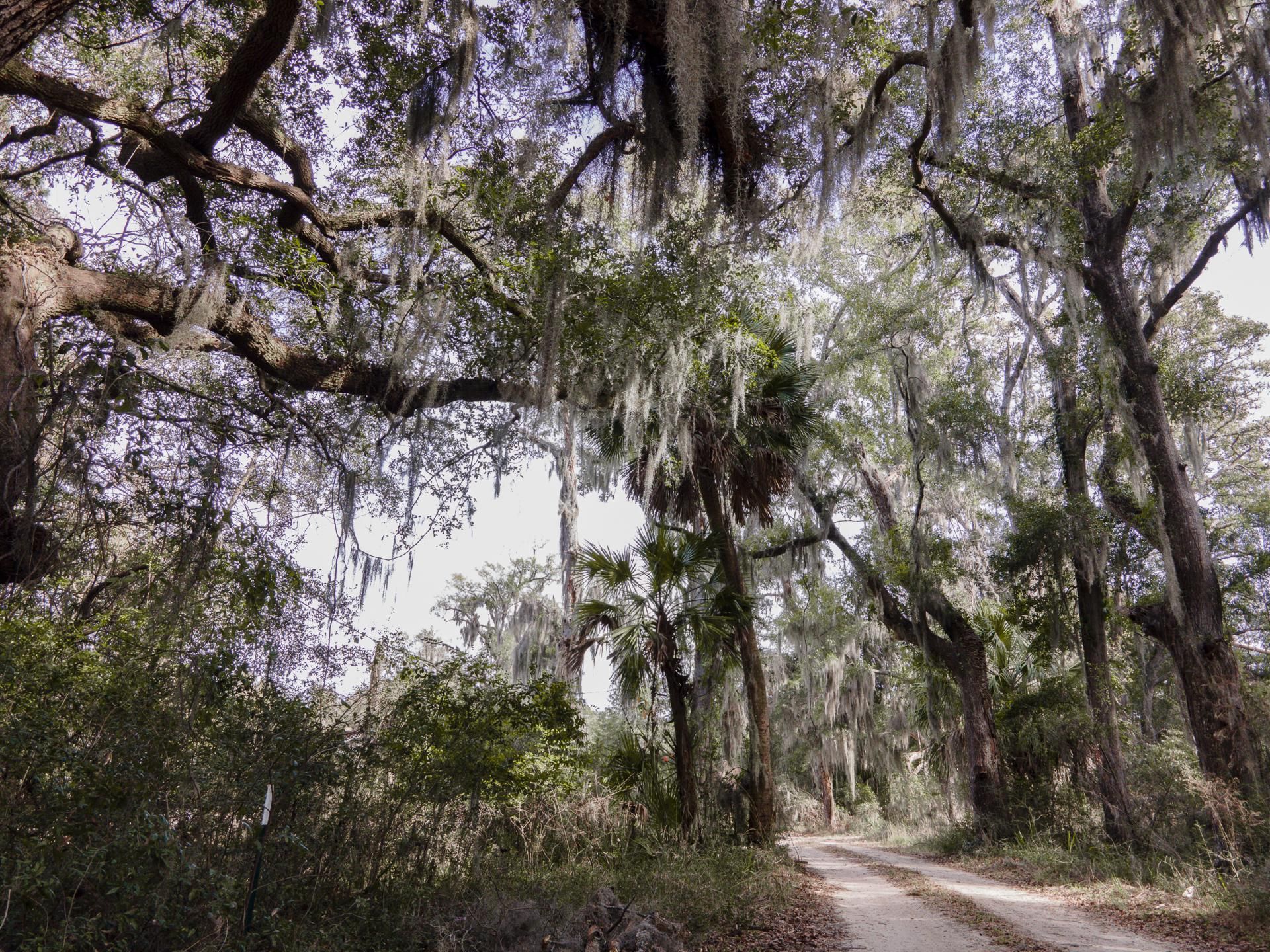 Edisto Island, Charleston County, SC Recreational Property, Undeveloped