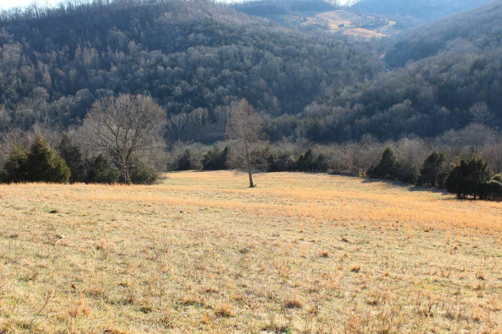 Liberty, DeKalb County, TN Hunting Property for sale Property ID