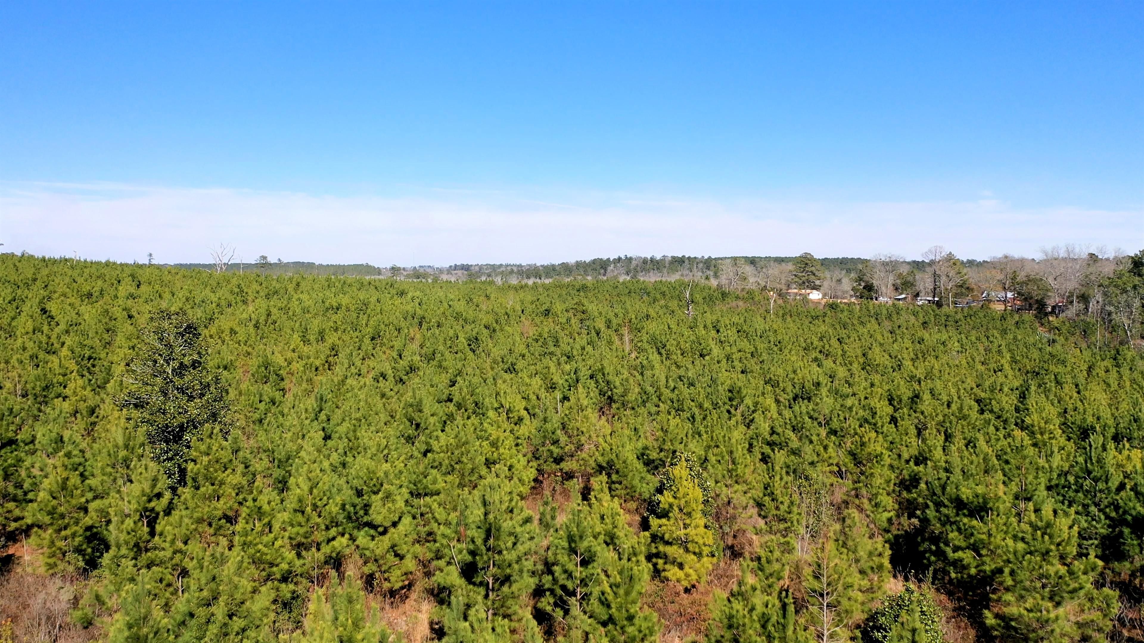 Eufaula, Barbour County, AL Farms and Ranches, Timberland Property for