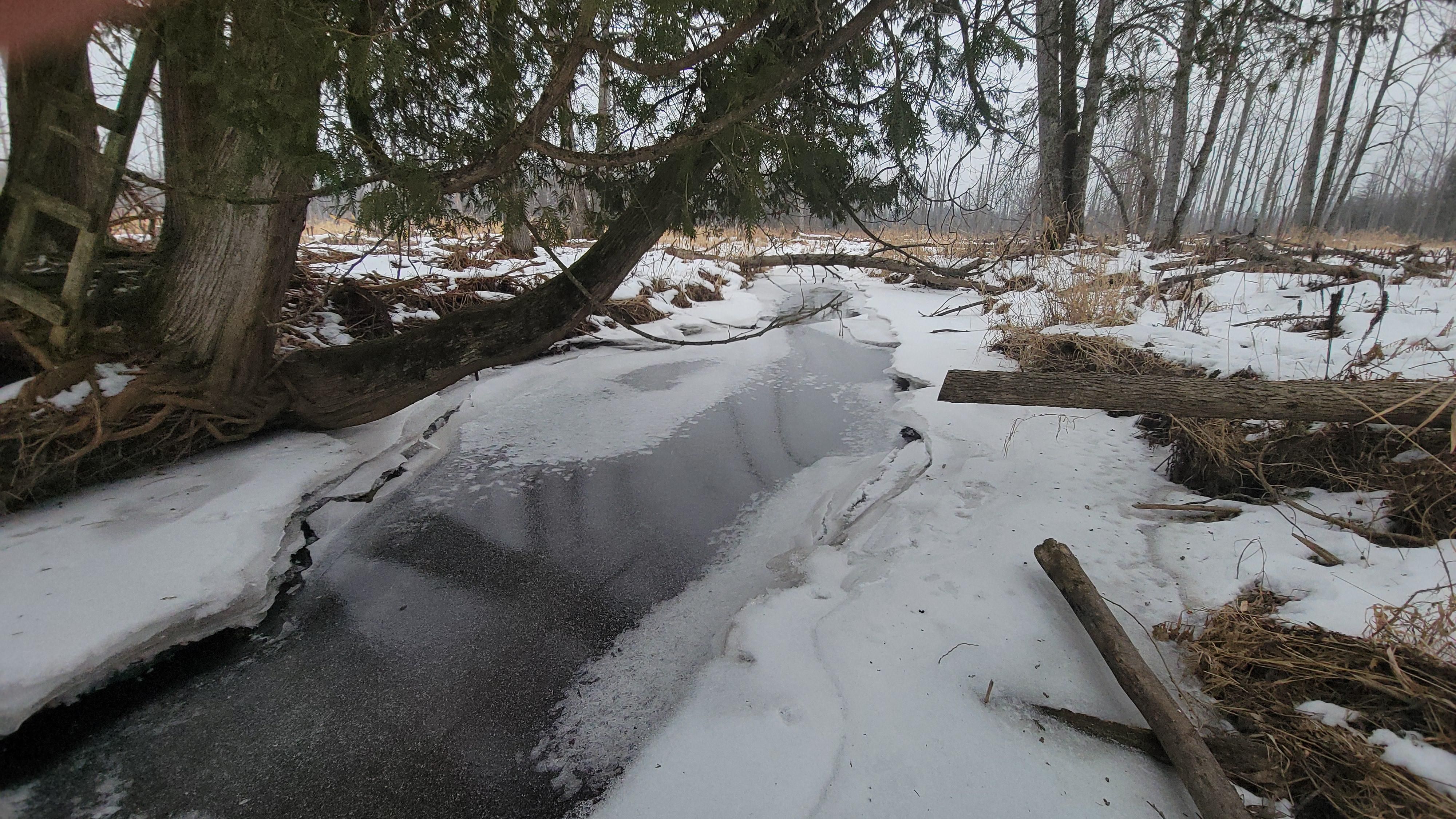 Rose City, Ogemaw County, MI Recreational Property, Undeveloped Land, Hunting Property