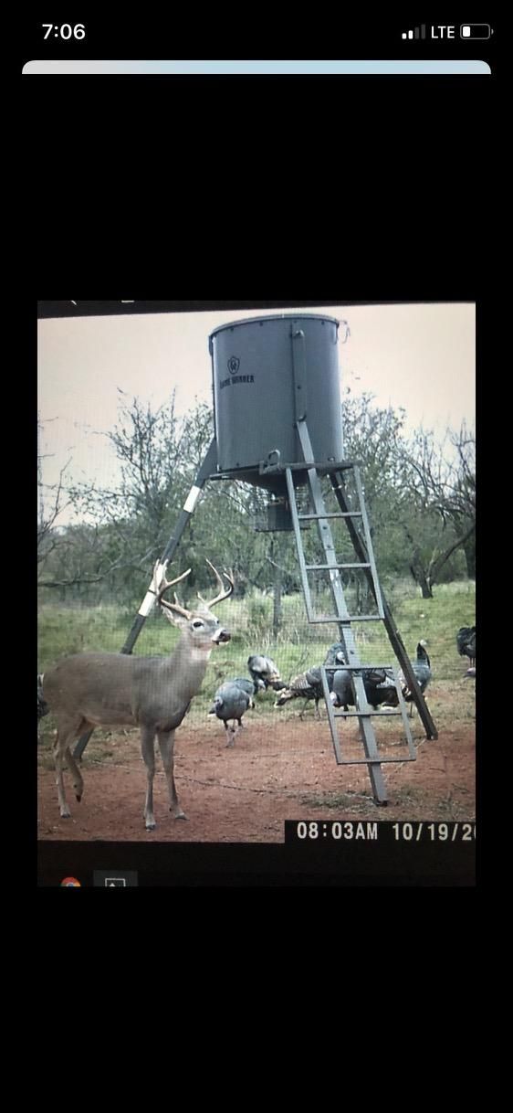Sweetwater, Fisher County, TX Farms and Ranches, Hunting Property for