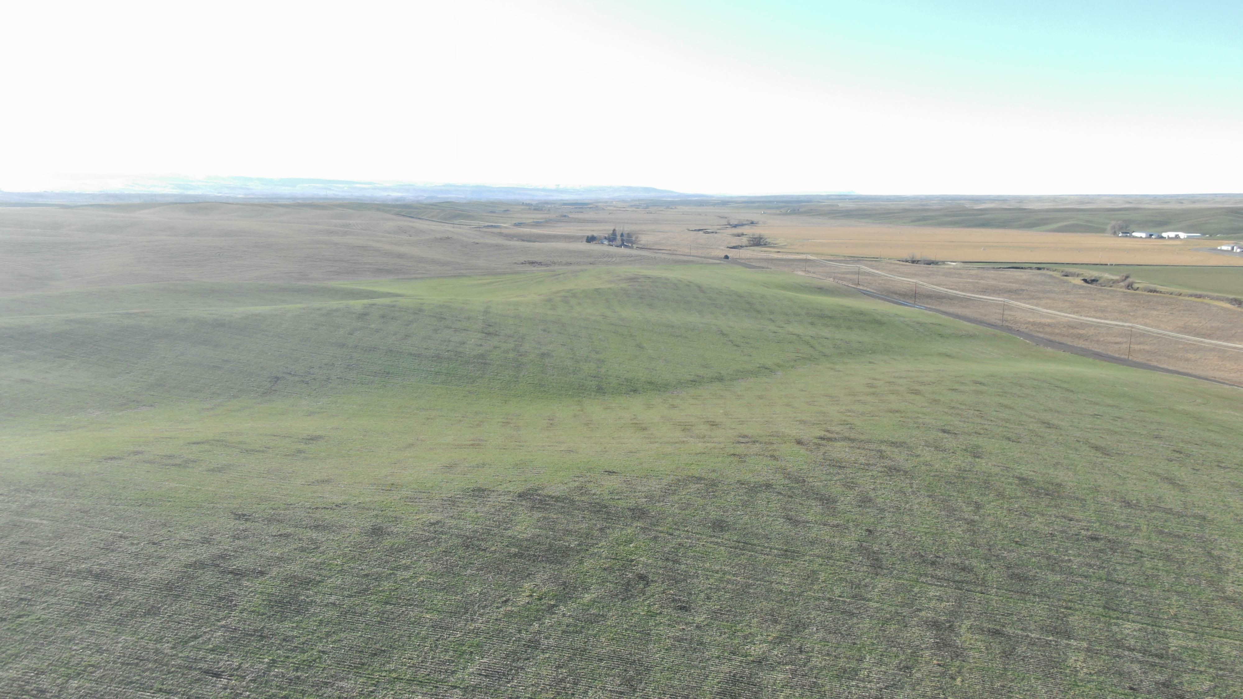 Walla Walla, Walla Walla County, WA Farms and Ranches for sale Property