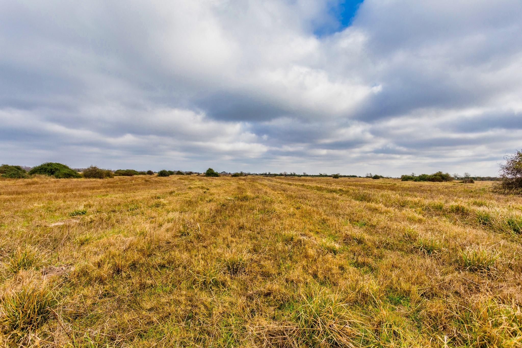 Eagle Lake, Colorado County, TX Farms and Ranches, Recreational