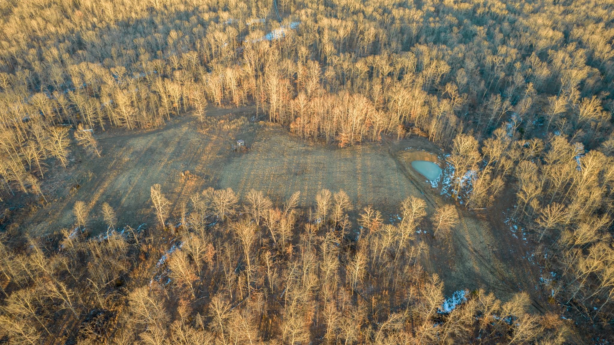 Mountain View, Howell County, MO Recreational Property, Timberland Property, Hunting Property