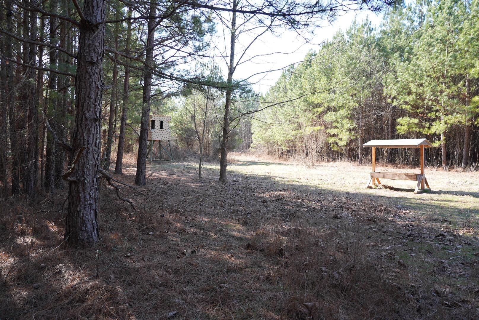 Burna, Livingston County, KY Recreational Property, Hunting Property