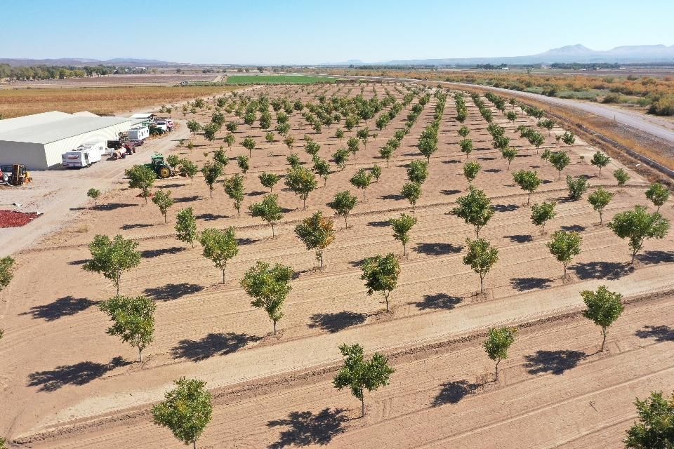 Salem, Dona Ana County, NM Farms and Ranches, House for sale Property ID 412685258 LandWatch