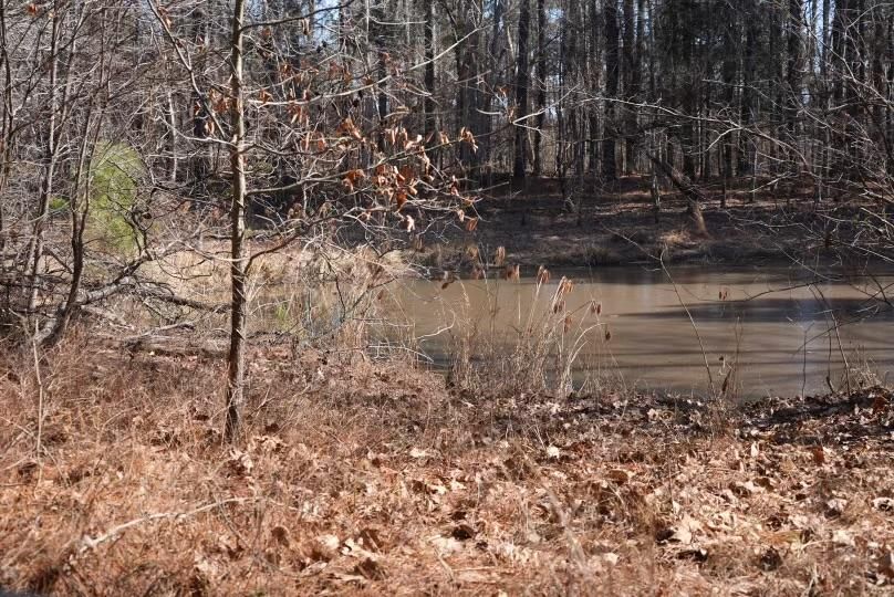 Burna, Livingston County, KY Recreational Property, Hunting Property