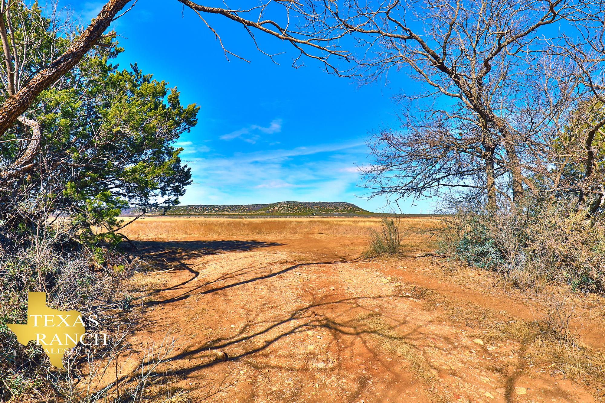Ovalo, Taylor County, TX Farms and Ranches, Hunting Property, House for