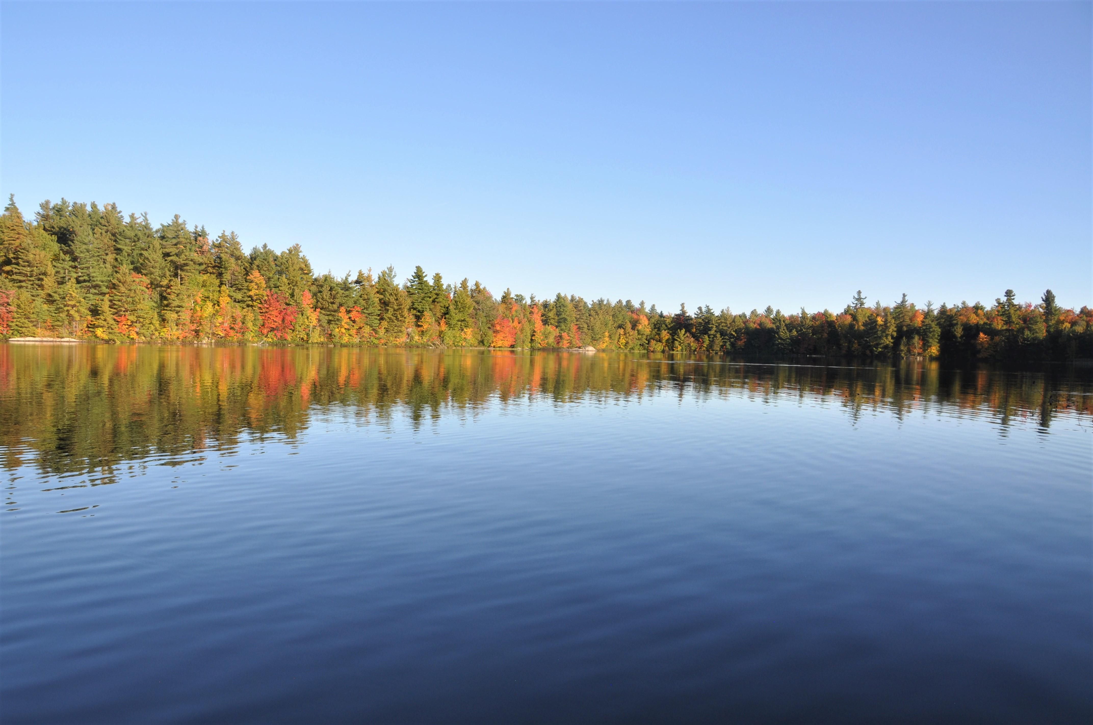 Bingo Road Dr. (gated/locked must call 1st), Edwards, NY 13635 MLS CLA8 LandWatch