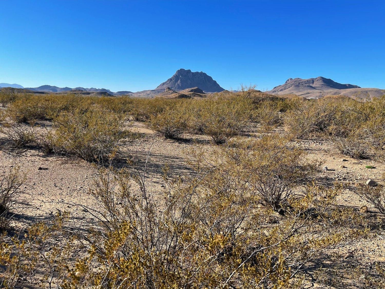 Alpine, Brewster County, TX Recreational Property, Undeveloped Land for sale Property ID