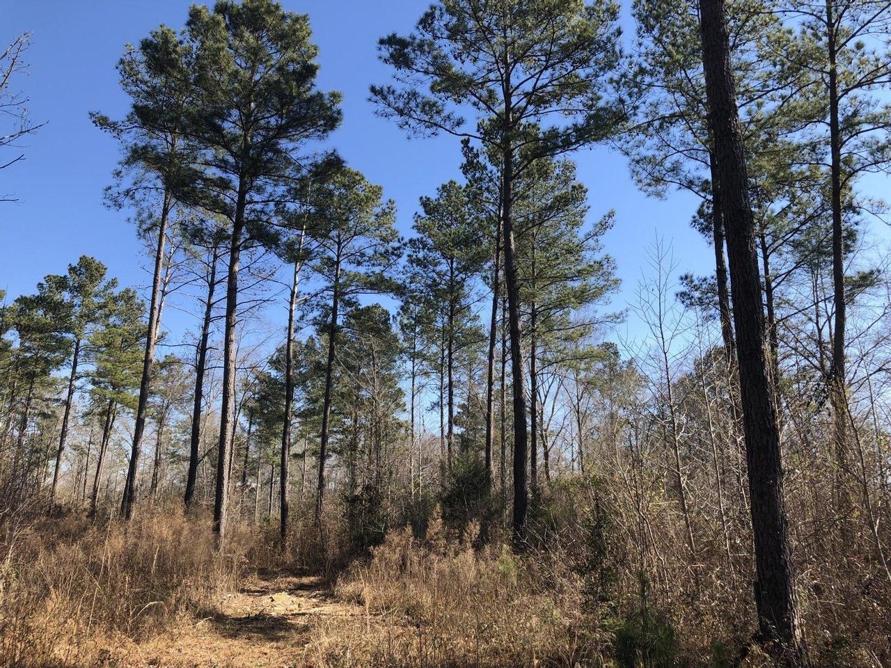 Fort Valley, Peach County, GA Recreational Property, Undeveloped Land