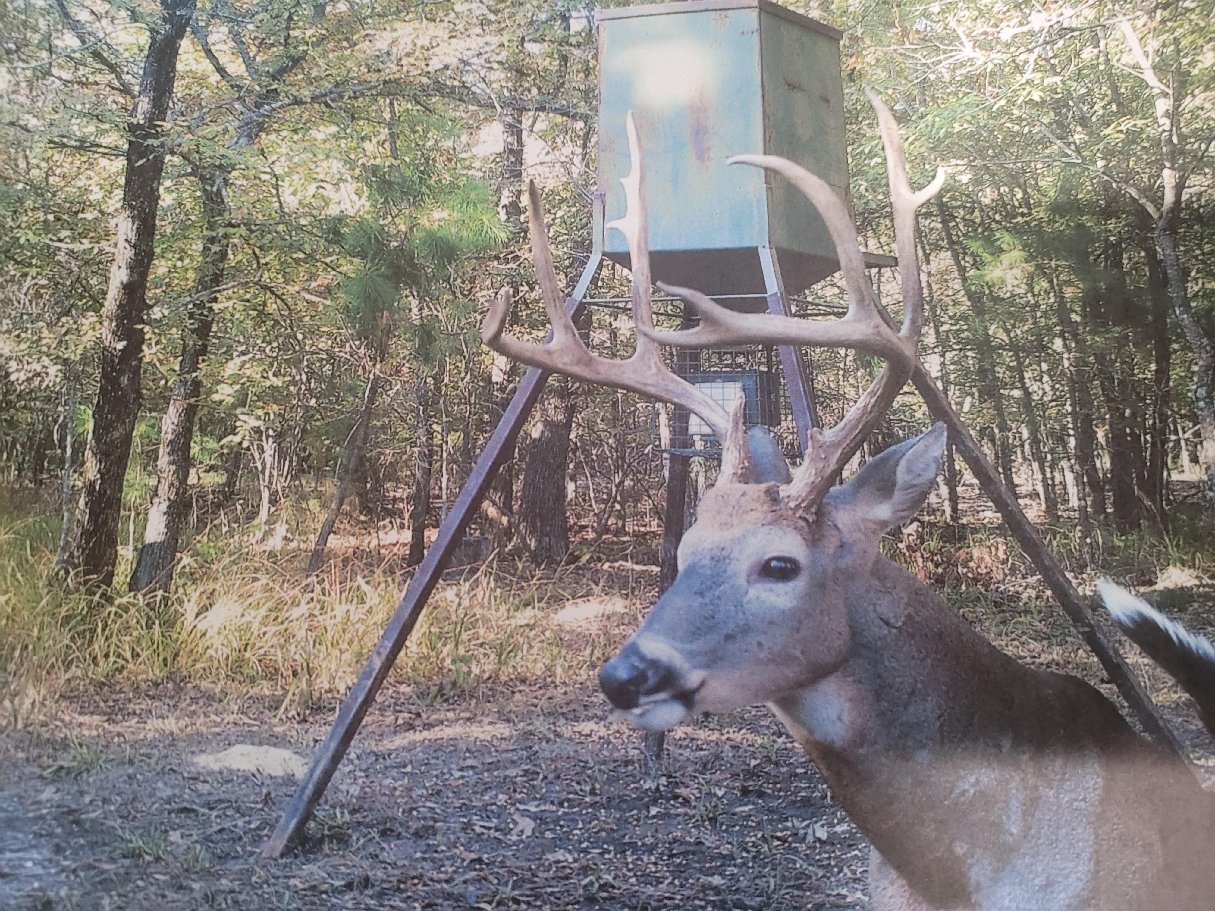 Talihina, Pushmataha County, OK Recreational Property, Hunting Property