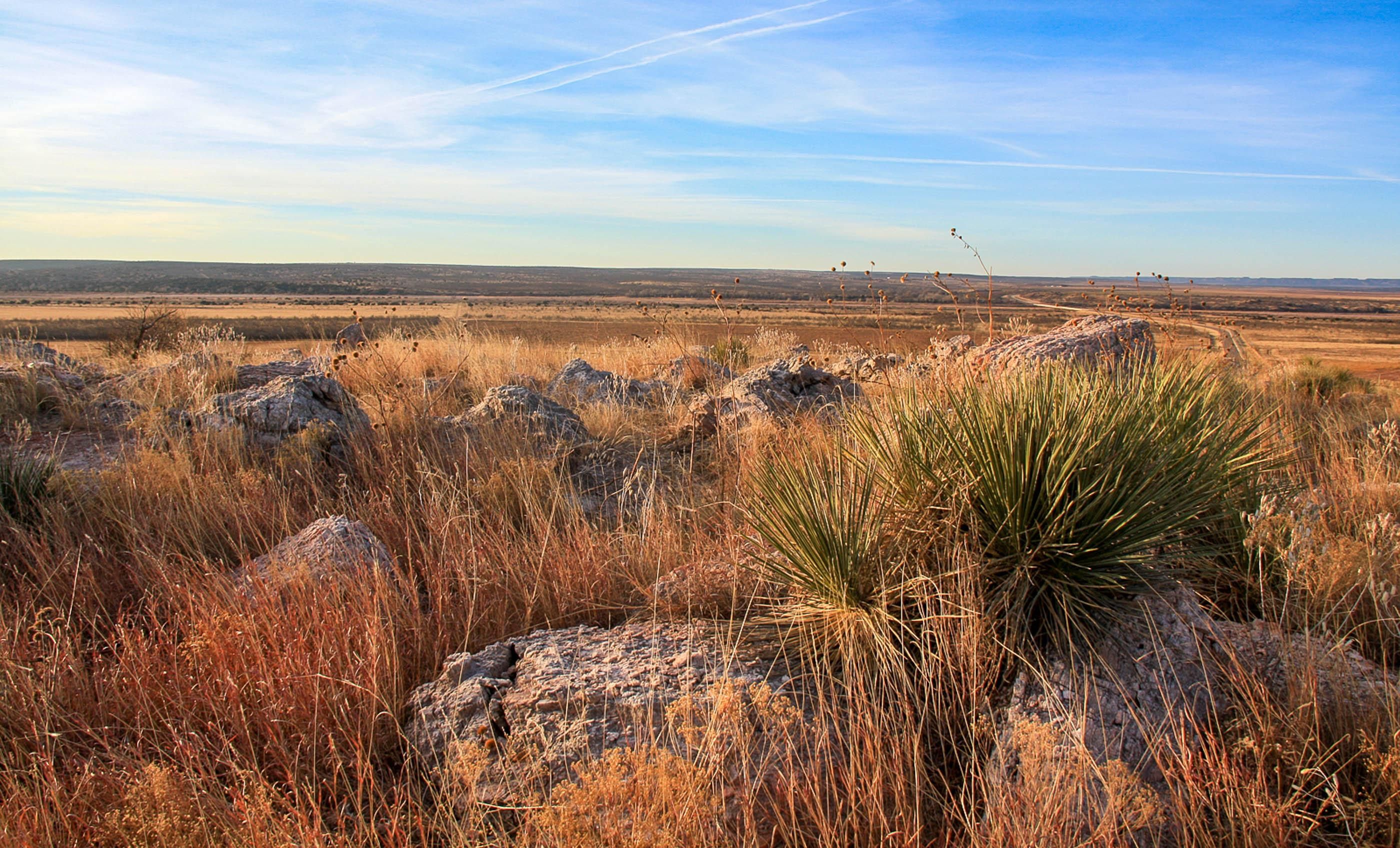 Lakeview, Hall County, TX Farms and Ranches, Recreational Property