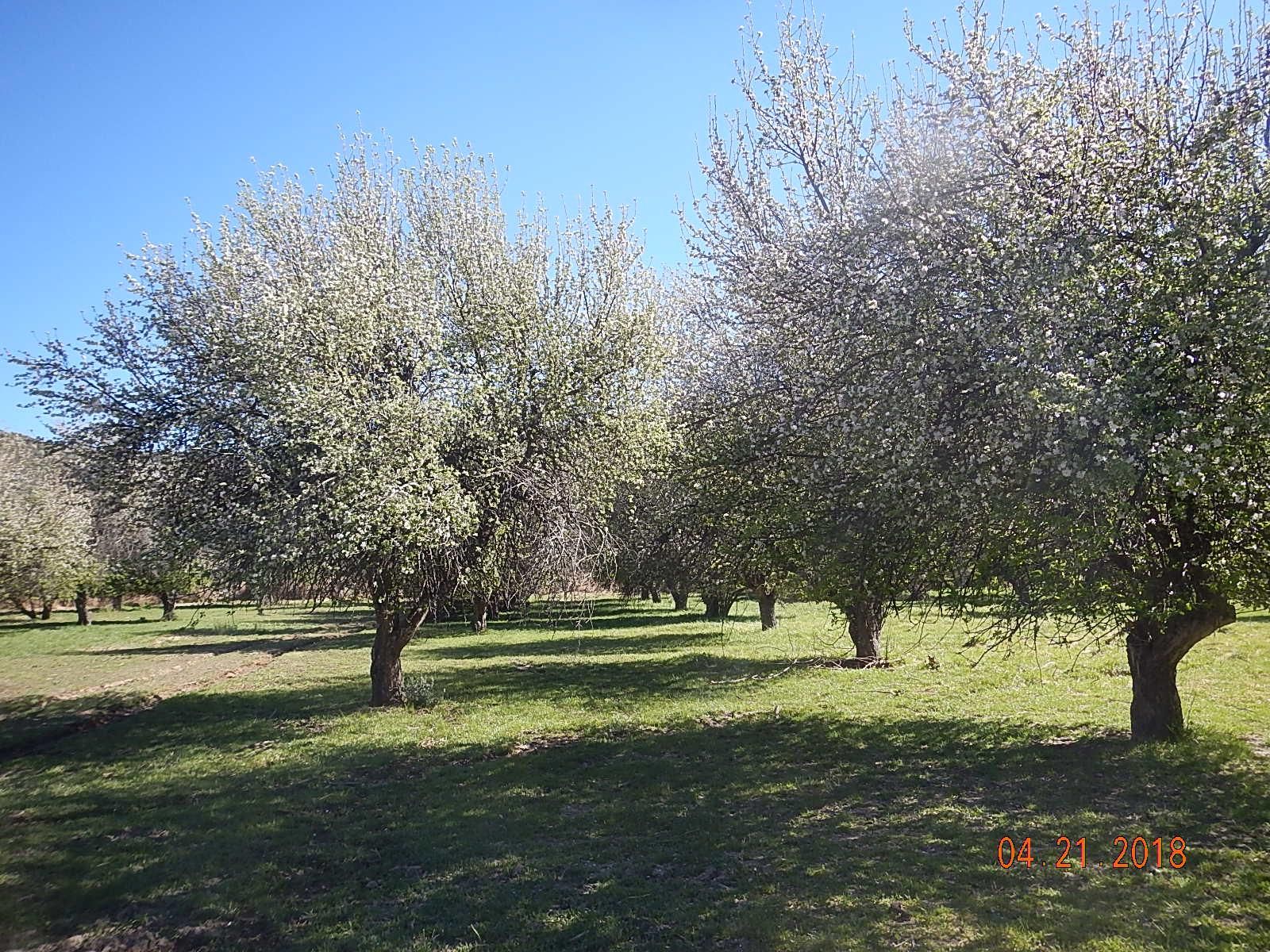 269 El Valle Loop, San Patricio, NM 88348 LandWatch