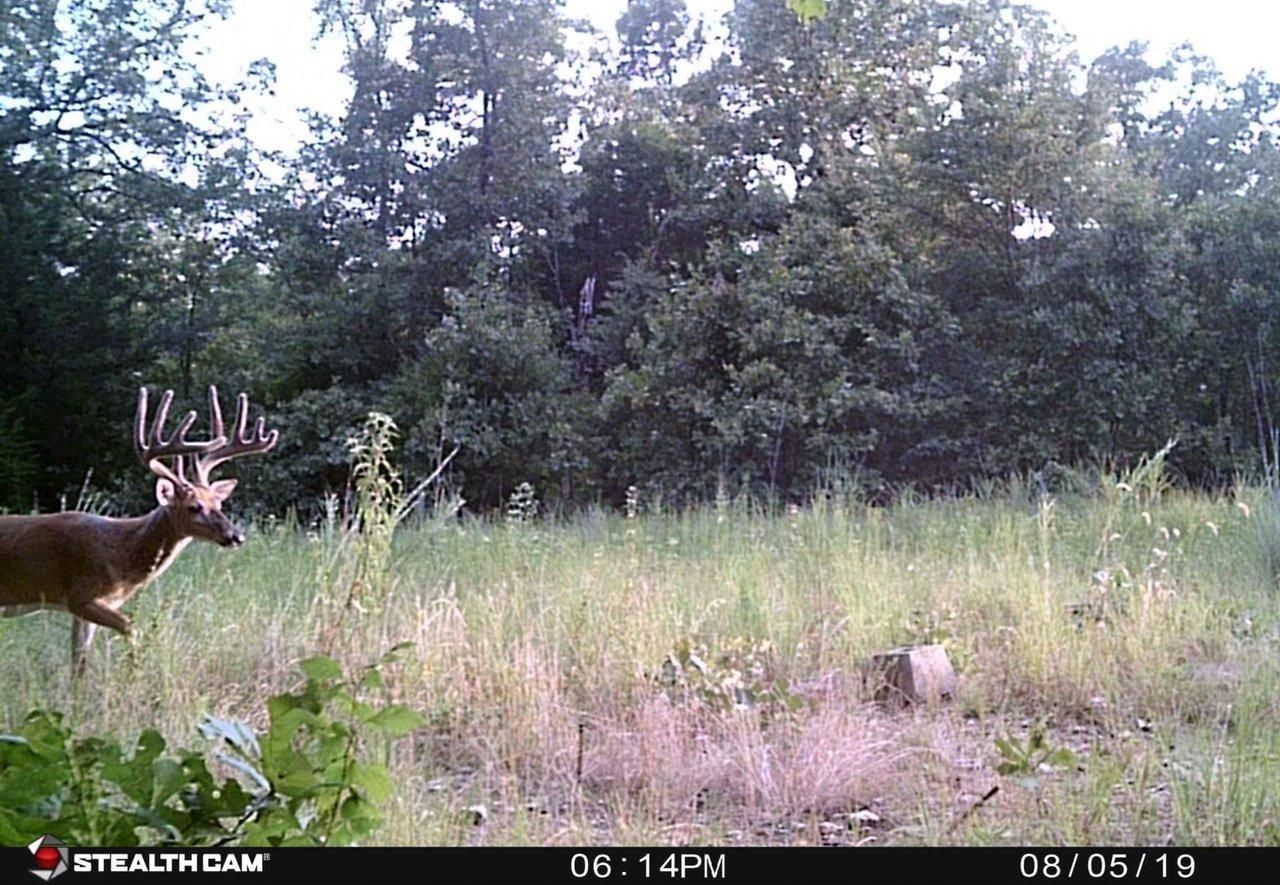Mountain Home, Baxter County, AR Recreational Property, Hunting