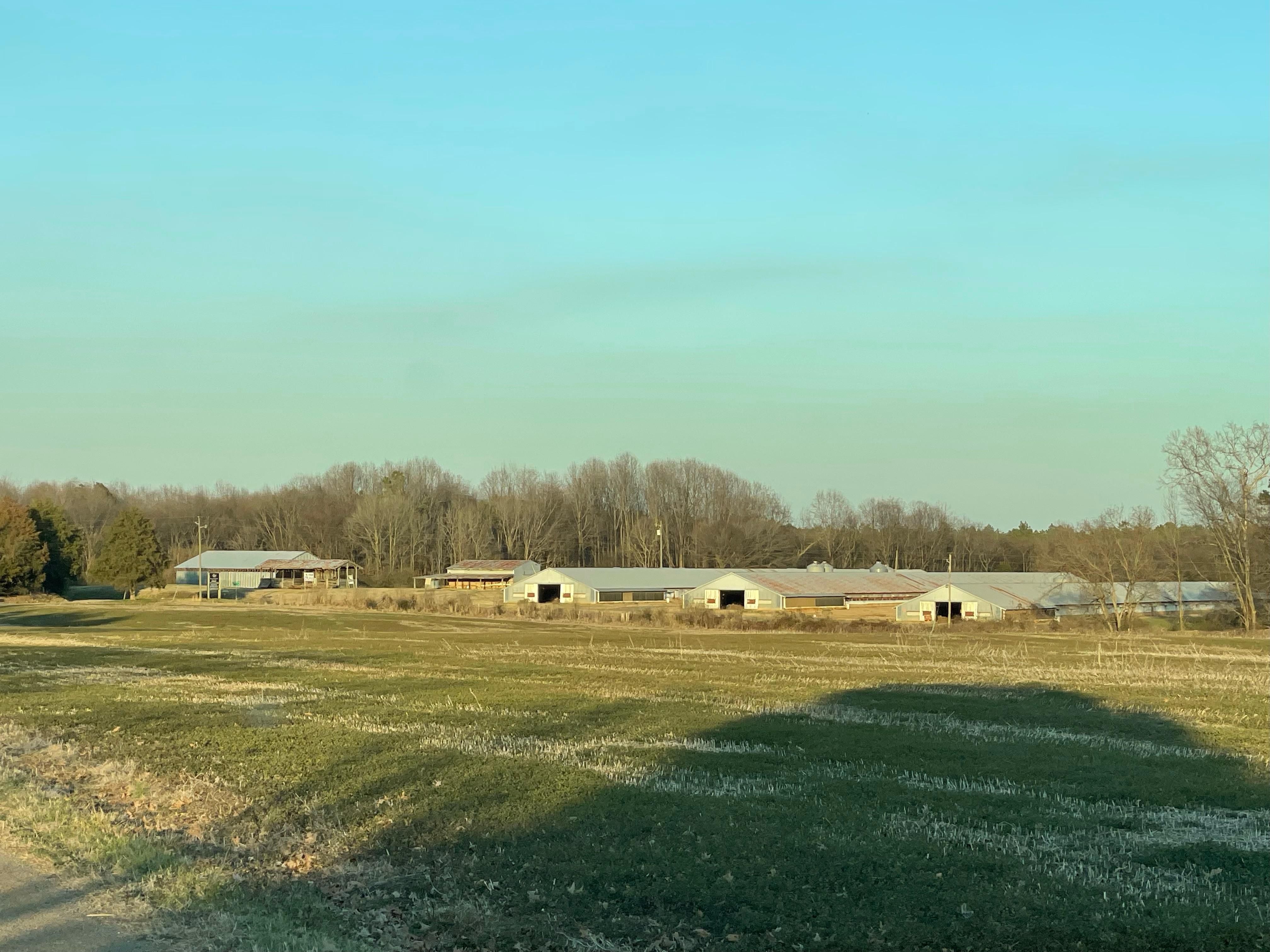 2025 South Carbonton Road, Sanford, NC 27330 MLS Pike Chicken Farm