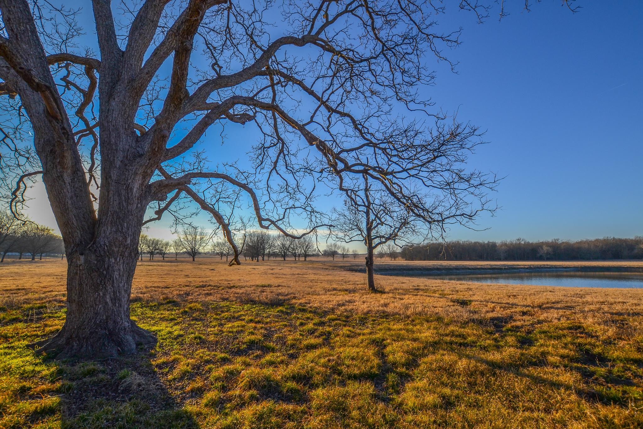 Kerens, Navarro County, TX Farms and Ranches, Recreational Property