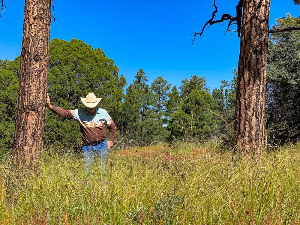 29,414 acres in Winston, NM, 87943 LandWatch