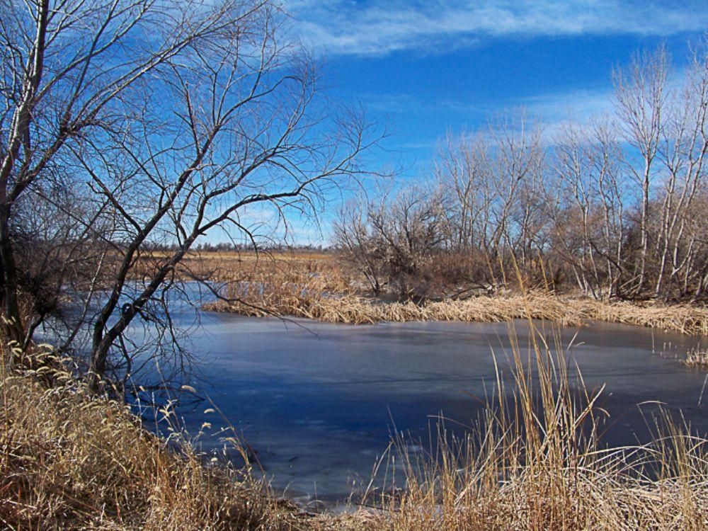 Ford, Ford County, KS Farms and Ranches, Recreational Property for sale Property ID 412742922