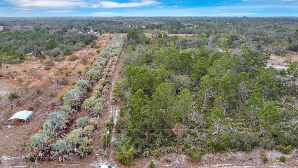 Frostproof, Polk County, FL Undeveloped Land, Homesites for sale
