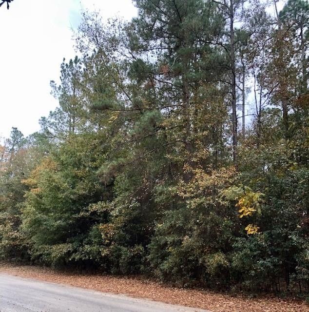 Williston, Barnwell County, SC Homesites for sale Property ID