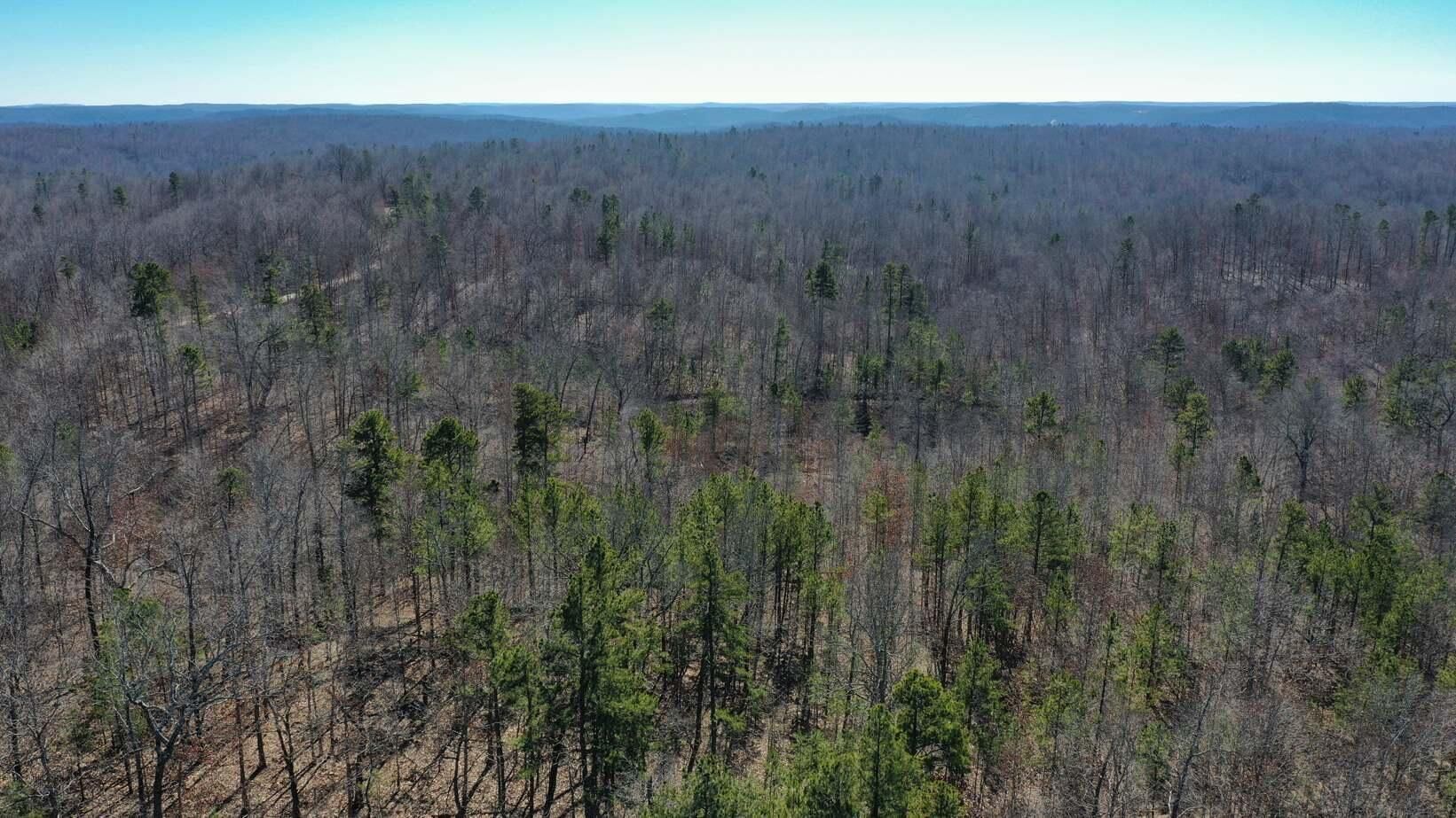 Salem, Shannon County, MO Recreational Property, Hunting Property for