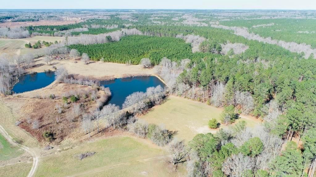 Warrenton, Warren County, GA Recreational Property, Timberland Property