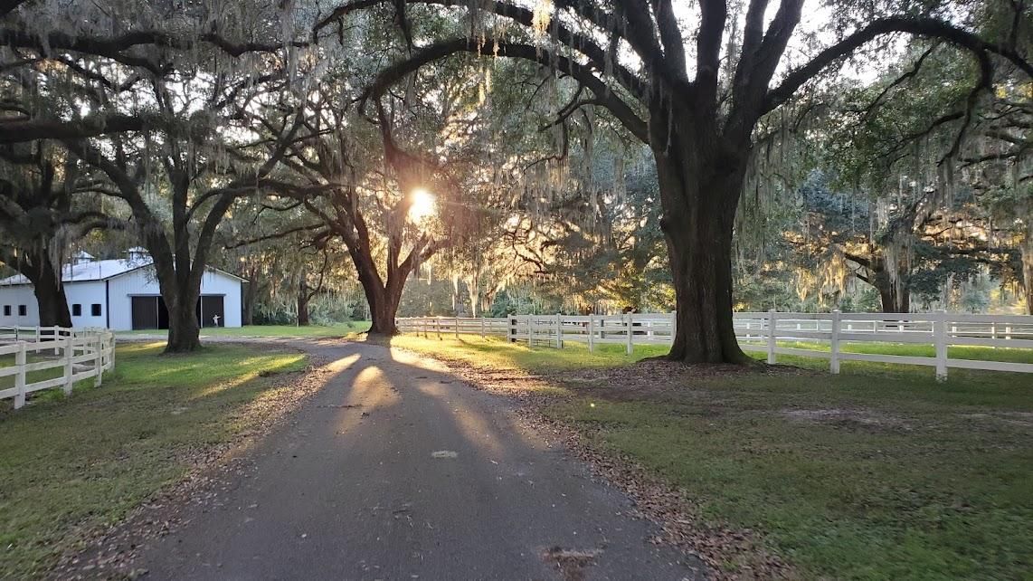 4741 Ashville Highway, Monticello, FL 32344 MLS RX10777116 LandWatch