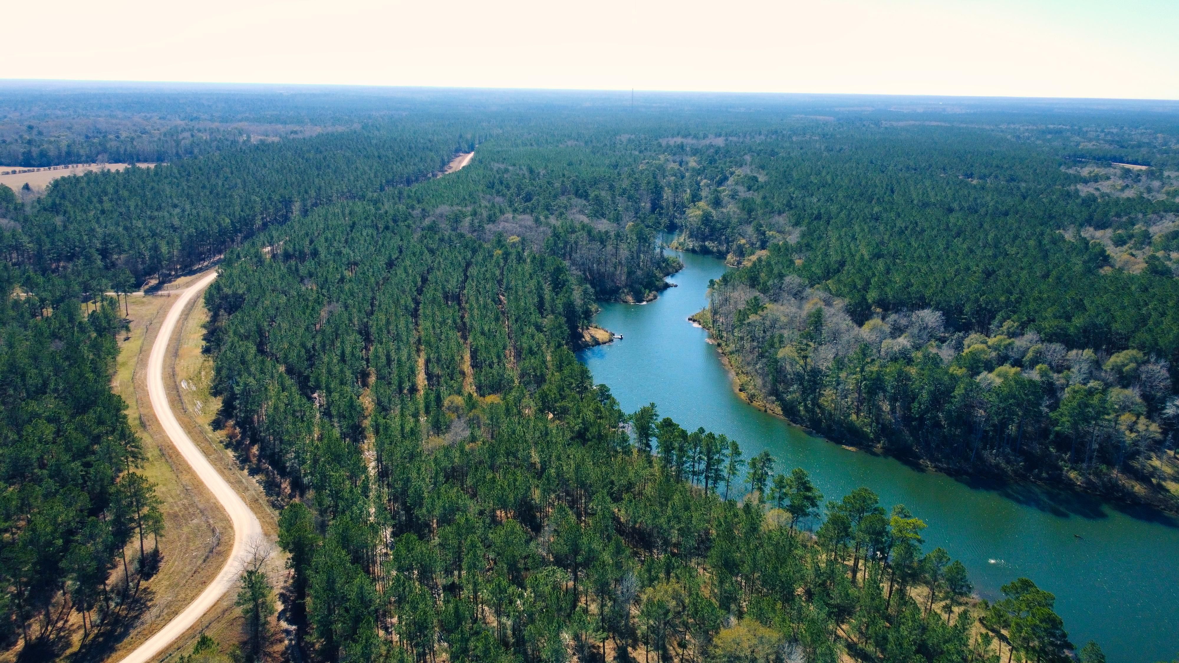 Shepherd, San Jacinto County, TX Recreational Property, Timberland