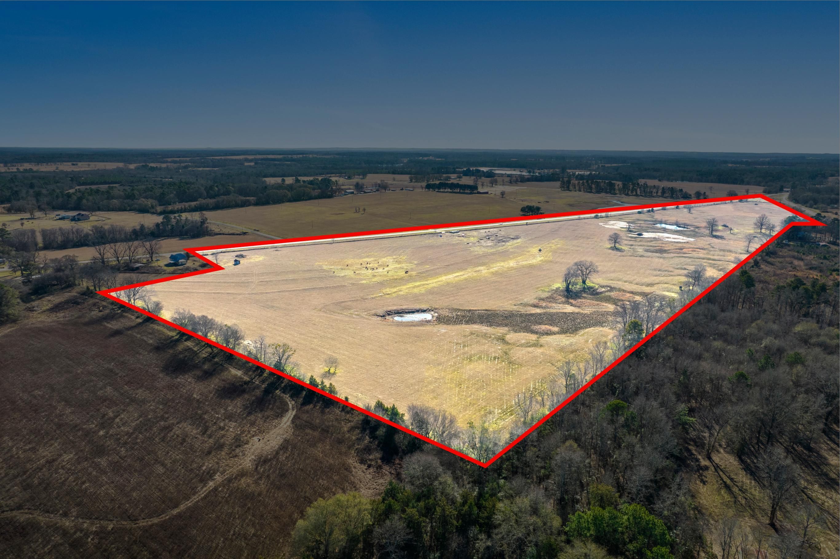 Naples, Morris County, TX Recreational Property, Undeveloped Land