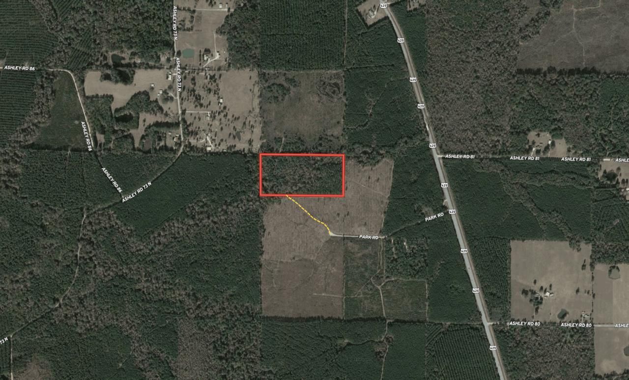 Fountain Hill, Ashley County, AR Recreational Property, Timberland