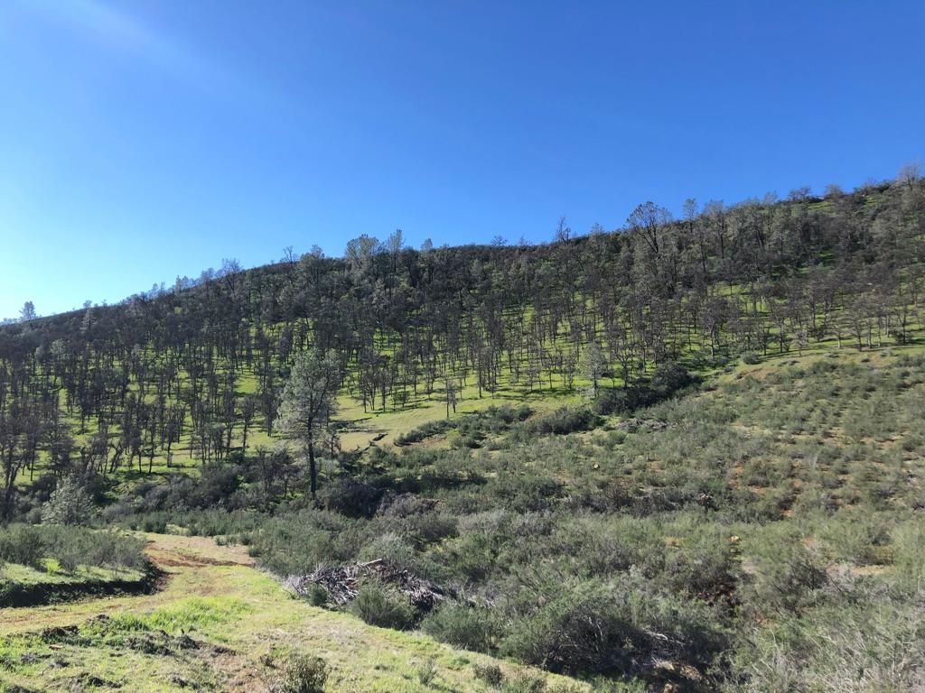 Stonyford, Colusa County, CA Farms and Ranches, Hunting Property, Horse