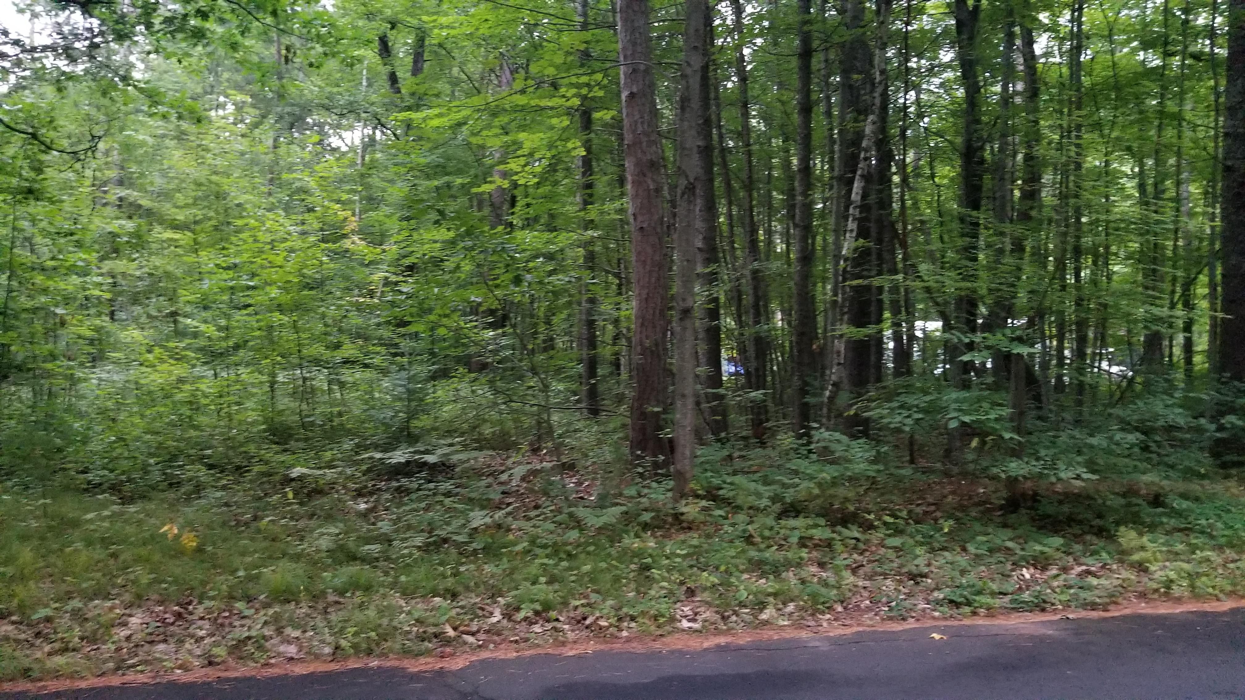 Hayward, Sawyer County, WI Recreational Property, Undeveloped Land