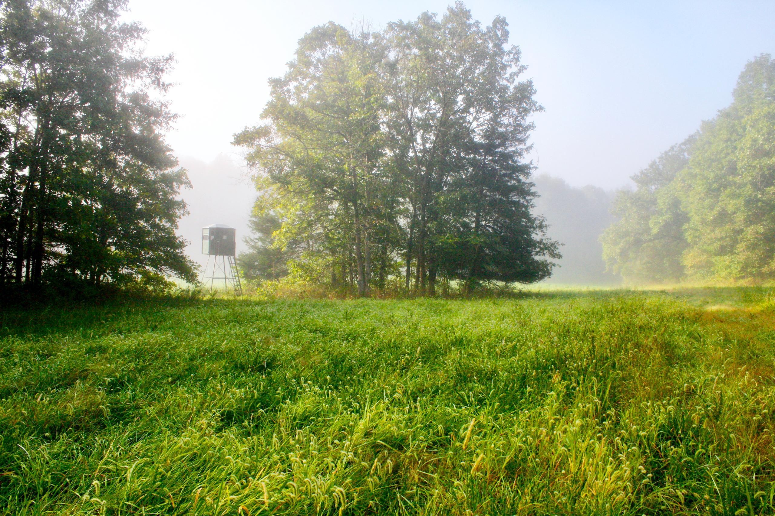 Cole Camp, Benton County, MO Recreational Property, Hunting Property for sale Property ID