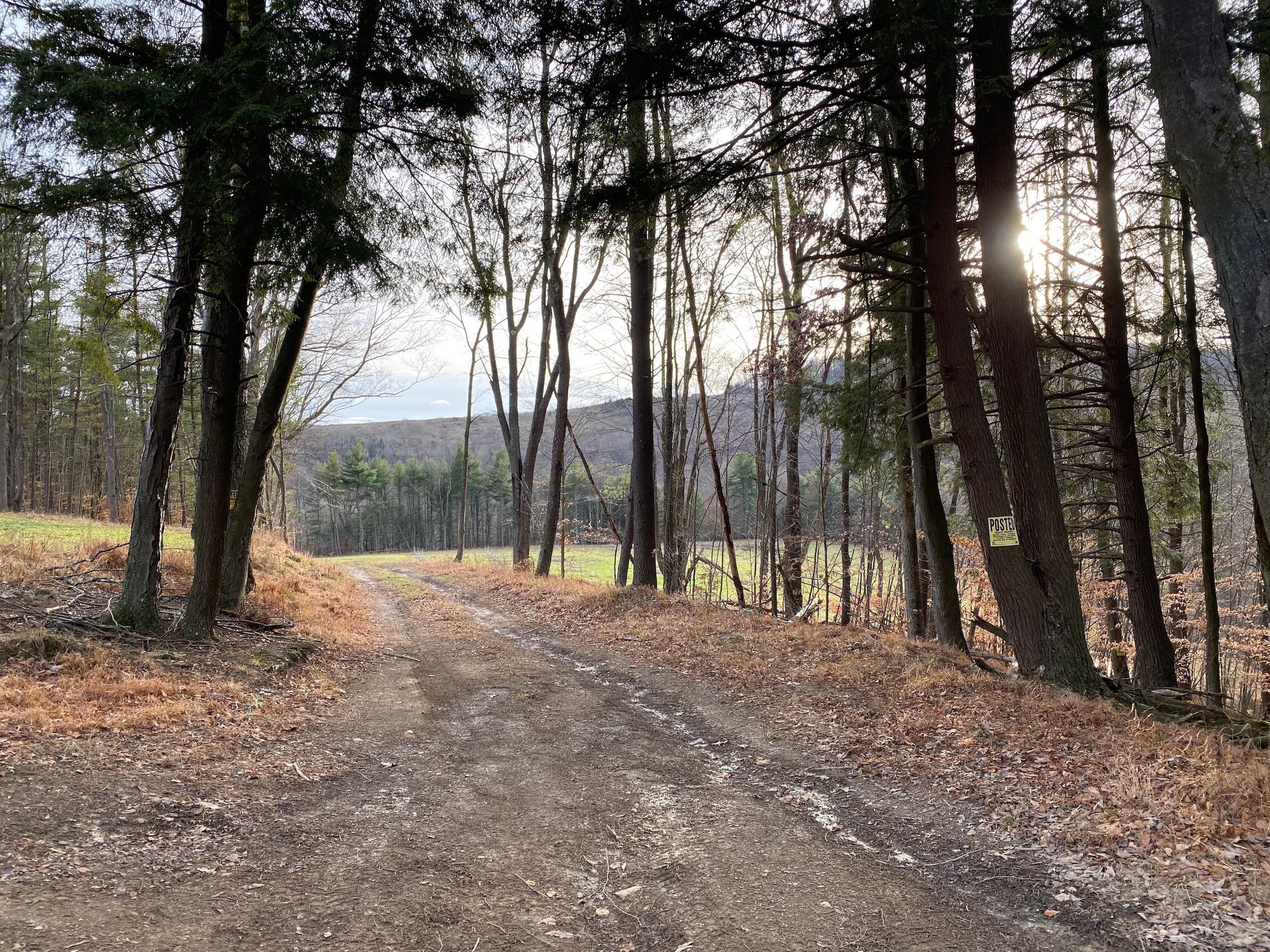New Washington, Clearfield County, PA Recreational Property, Hunting